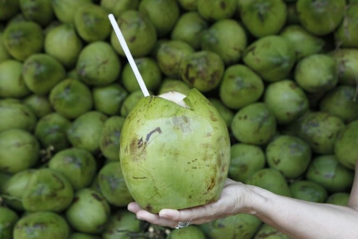 Dia Mundial do Coco: conheça os benefícios desta delícia tropical ...